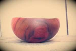 Bowl in corbezzolo #2